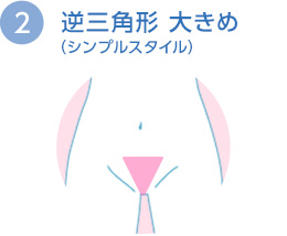 逆三角形 大きめ（シンプルスタイル）